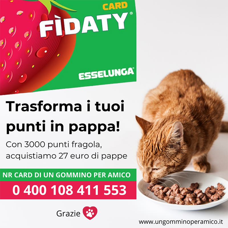 Dona Punti Esselunga