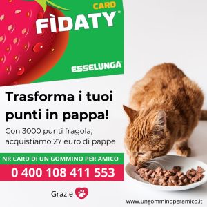 donapuntiesselunga_ungomminoperamico